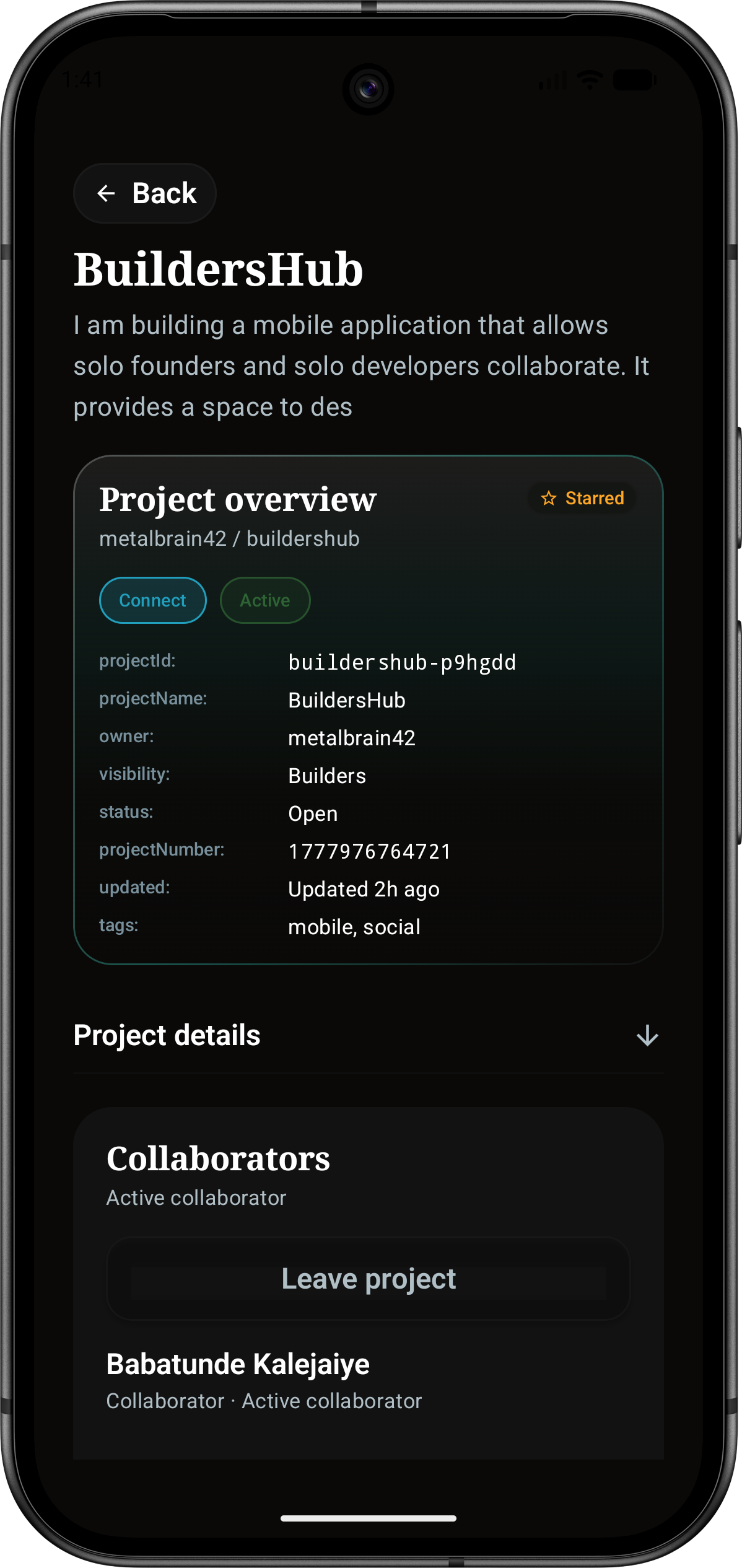 BuildersHub project detail screen showing overview, status, tags, and collaborators.
